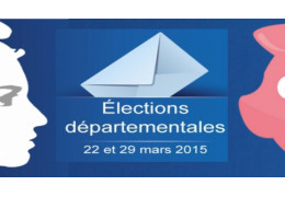 Élections départementales : Votez Pigsou et le Rassemblement Rose Insolite