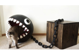 Le chomp de Mario Bros comme panier pour chat. Pour les chats geek !