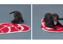 Découvrez cette collection de tapis steak imaginée pour les chiens ! Ils vont adorer