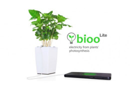 Rechargez votre téléphone grâce à une plante !